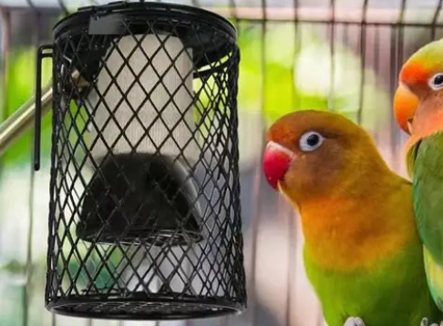 鳥類保暖設備