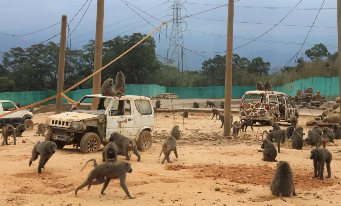 野生動物保護法規