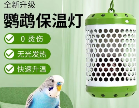 鸚鵡保暖燈推薦
