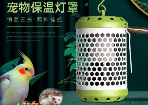 鸚鵡保暖燈選擇