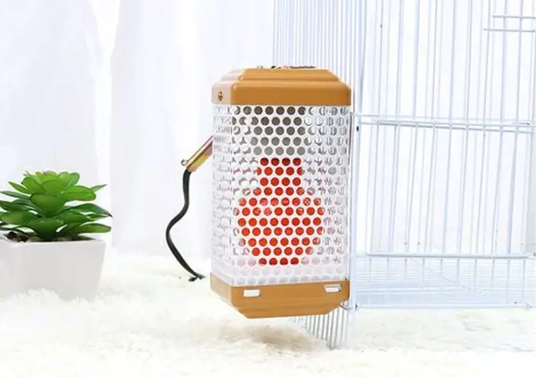 鸚鵡保暖燈安全